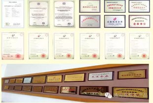 借力中國(guó)蔬菜品牌大會(huì)，云南蔬菜品牌與企業(yè)以大數(shù)據(jù)服務(wù)驅(qū)動(dòng)產(chǎn)業(yè)升級(jí)